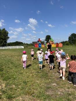 IMG_8446.jpeg