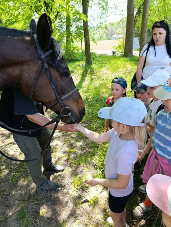 Messenger_creation_62415903-AB17-40BE-8E9D-2BBD80462783.jpeg