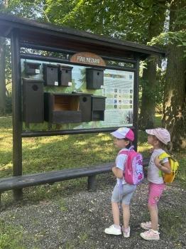 IMG_1243.jpeg