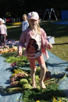 IMG_7567.JPG