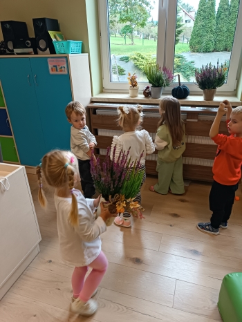 IMG_20260924_103526