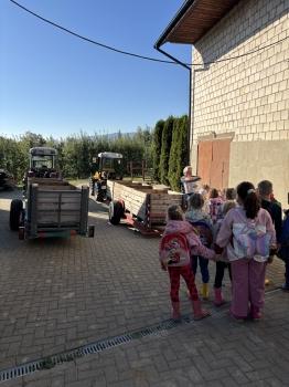 IMG_4047.jpeg