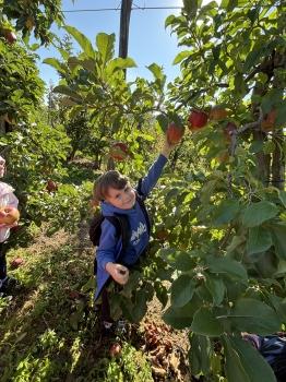 IMG_4121.jpeg