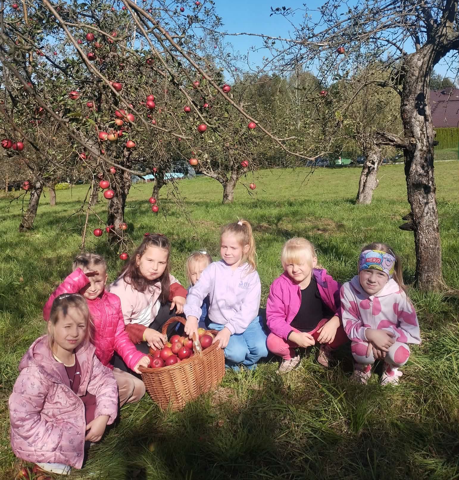 Jesień pełna smaków, kolorów i niezwykłych odkryć!